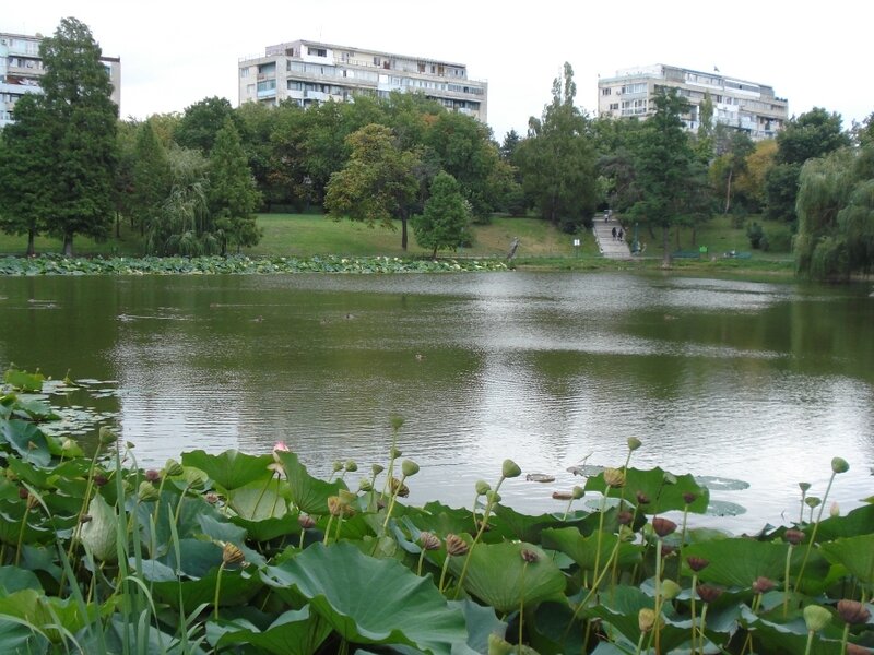 Apartament 4 camere Lacul Tei, aproape de parcul Circului