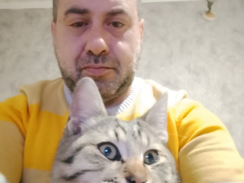 ...