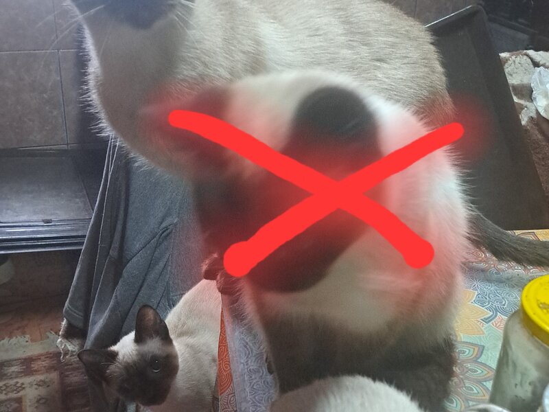...