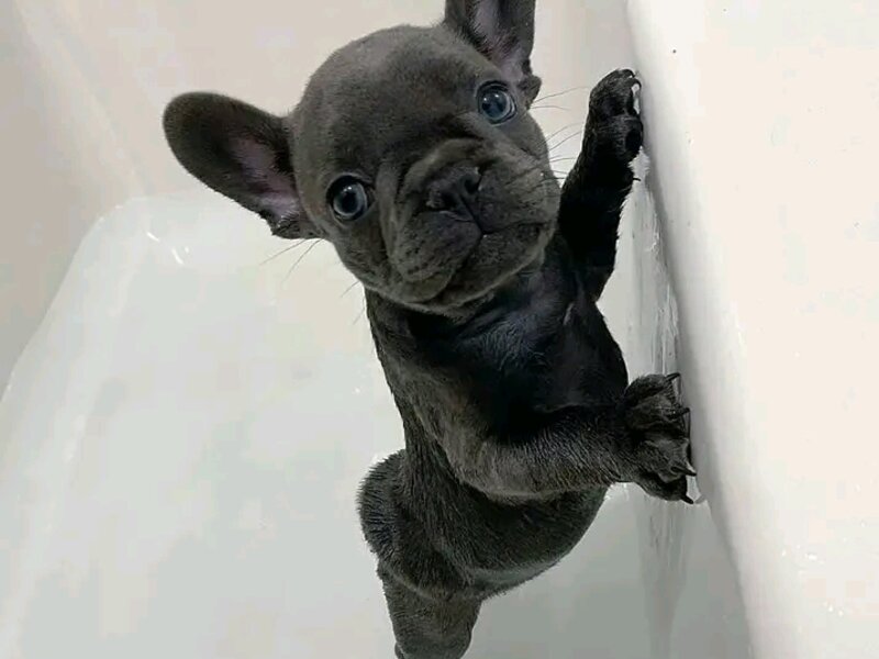 ...