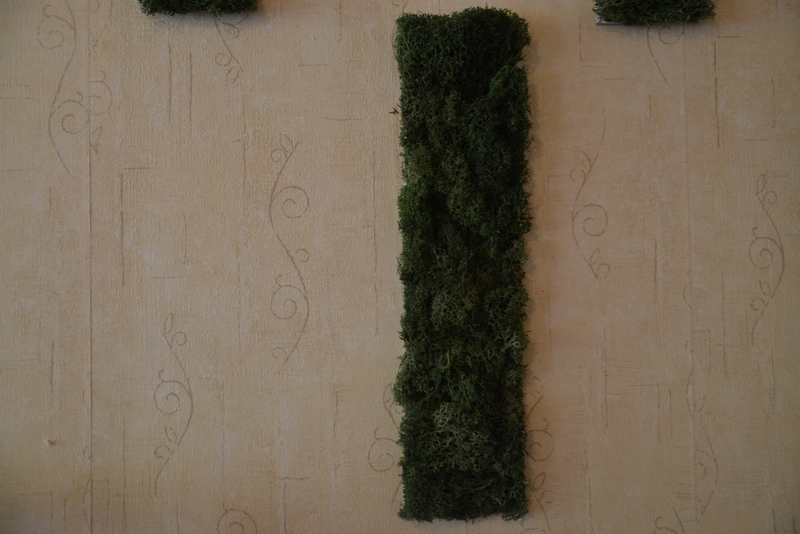How to Make a Faux Living Moss Wall