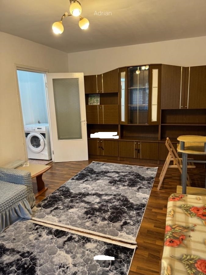 Inchiriere apartament 2 camere Berceni Oltenitei 2 cam — fotografia 3