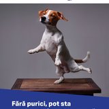 ..