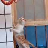 ..