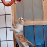 ..